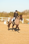 Class 5 - N1 portfolio