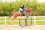 SBM_005186