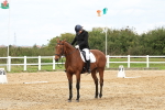 SBM_003608