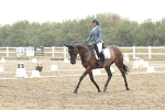 SBM_003908