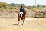SBM_002838