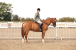 SBM_04263