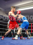 BOUT-8_Harry Bertram v Jordan Phelps-18