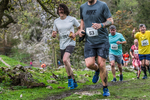 Dovedale Dash-1513