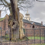 Dunham Massey