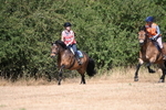 WJ6_8774