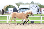 SBM_03909