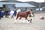 SBM_007276