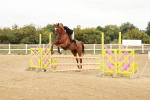 SBM_008697