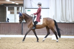 SBM_006993