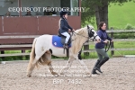CLASS 0 CLEAR ROUND Show Jumping portfolio