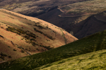 The Valley Sides