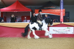SBM_09647
