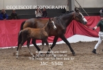 JAC_5540