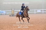 BPP_4929