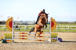 SBM_002785