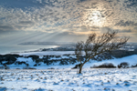 z3180 Snowy View over Sandown Bay