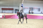 SBM_07223
