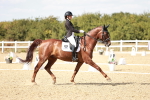 SBM_019326