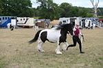 WJ6_5375