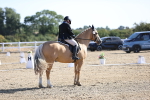 SBM_012515