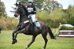 WJ6_3682