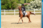 SBM_007495
