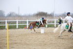 SBM_004412