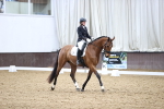 SBM_004516