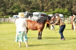 SBM_00509