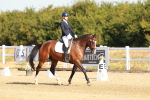 SBM_016529