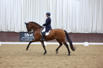 SBM_009662