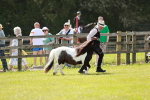 SBM_02505