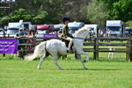 SBM_03817
