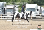 JAC_6036