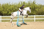 SBM_000950