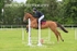 BPP_8676