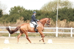 SBM_009414