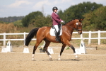 SBM_009774