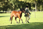 SBM_15944