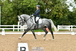 Cls 14 Adv Medium 98 portfolio