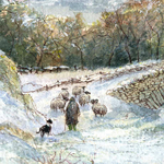 Going Home