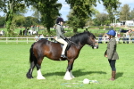 SBM_46912