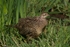 20110425-IMG_5036
