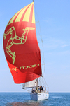 180707 CATZERO GBR2289L 1Y3A9859