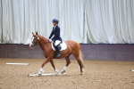SBM_004146