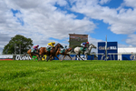 010826-Race 4-Accrual-4938