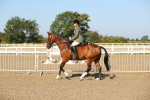 SBM_01214