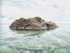 Lion's Head #8