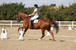 SBM_022534